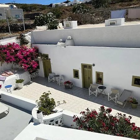 Landsted Palm Tree Hill *