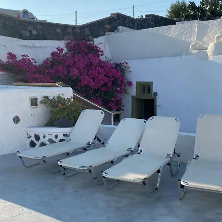 Palm Tree Hill Landsted *