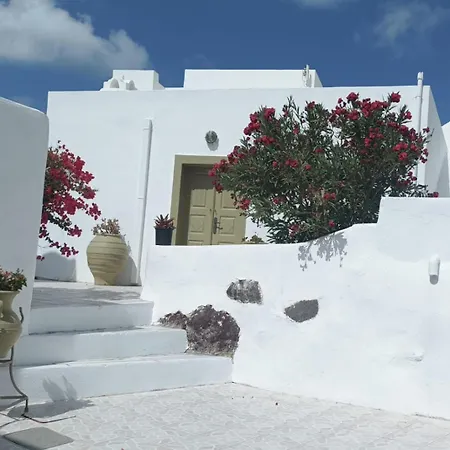 Landsted Palm Tree Hill *