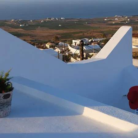 Palm Tree Hill Landsted Oia