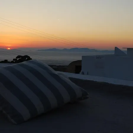 Landsted Palm Tree Hill