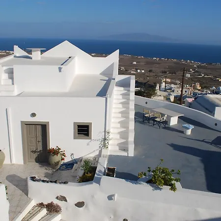 Palm Tree Hill Landsted