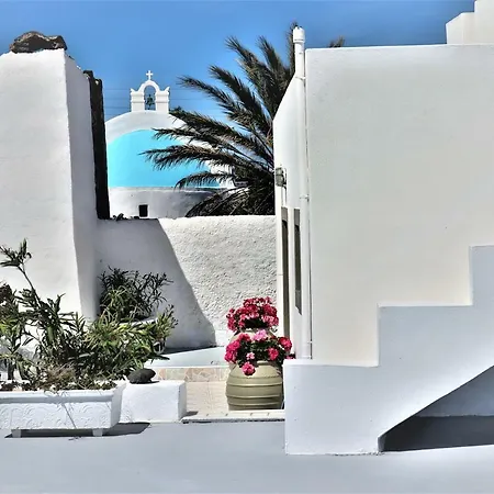 Palm Tree Hill Landsted