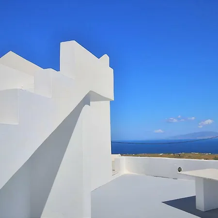 Landsted Palm Tree Hill