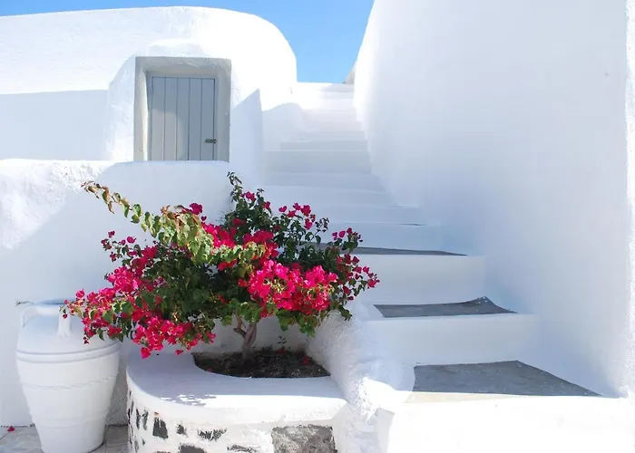 Casa de Campo Palm Tree Hill