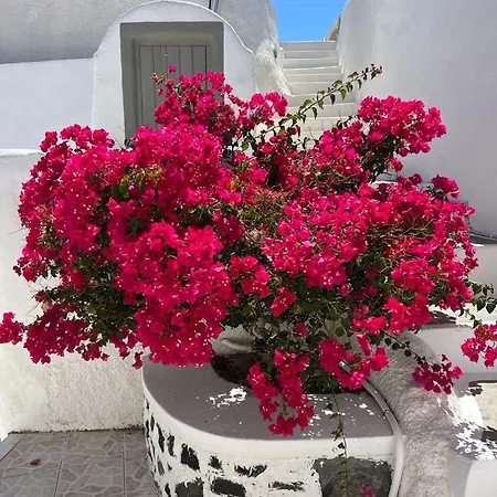 Casa di campagna Palm Tree Hill