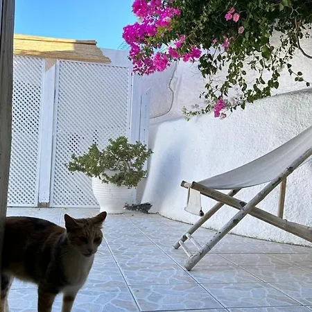 Palm Tree Hill Casa di campagna