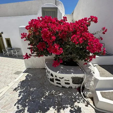 Casa di campagna Palm Tree Hill