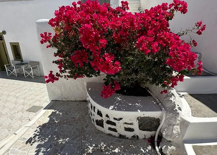 Casa di campagna Palm Tree Hill