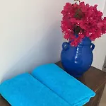 팜 트리 힐 *