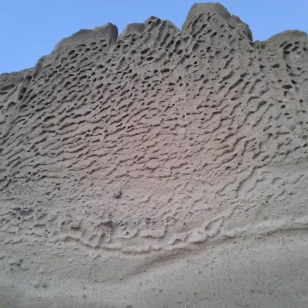 Palm Tree Hill Casa rural *