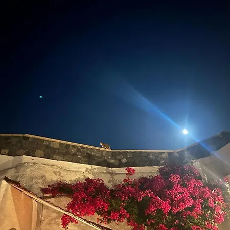 Kır Evi Palm Tree Hill *