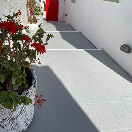 Kır Evi Palm Tree Hill *