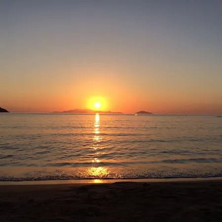 팜 트리 힐 컨트리하우스 *