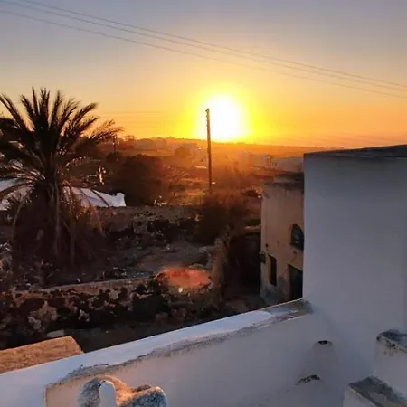 Lantställe Palm Tree Hill Oia