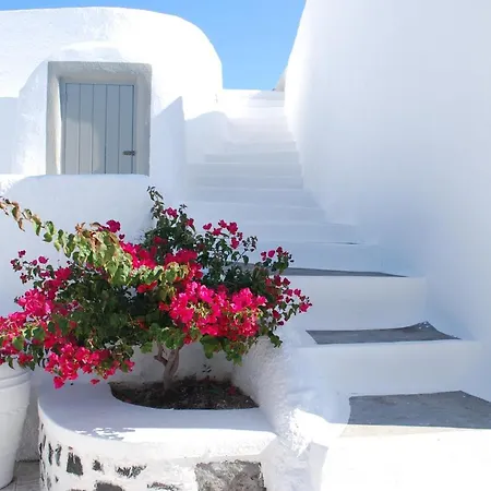 Venkovský dům Palm Tree Hill