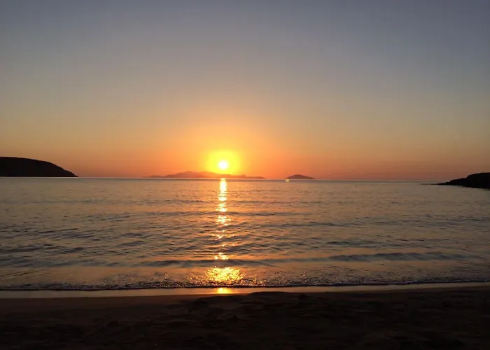 Palm Tree Hill Venkovský dům *