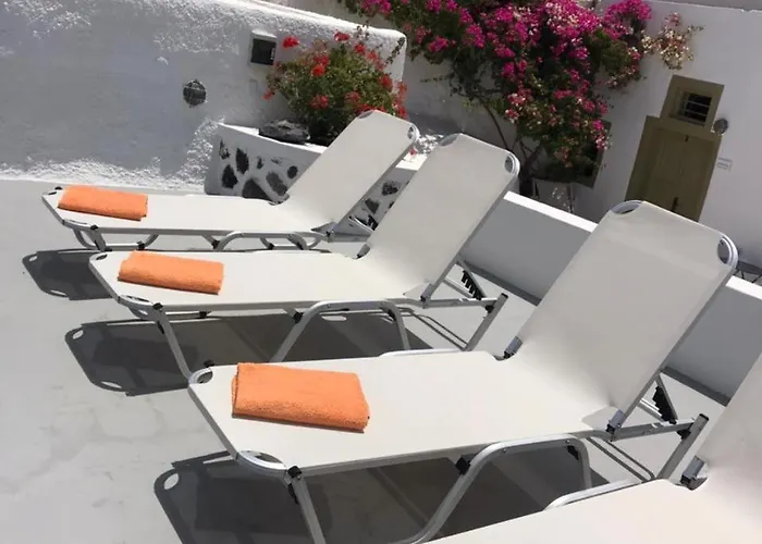 Palm Tree Hill Venkovský dům