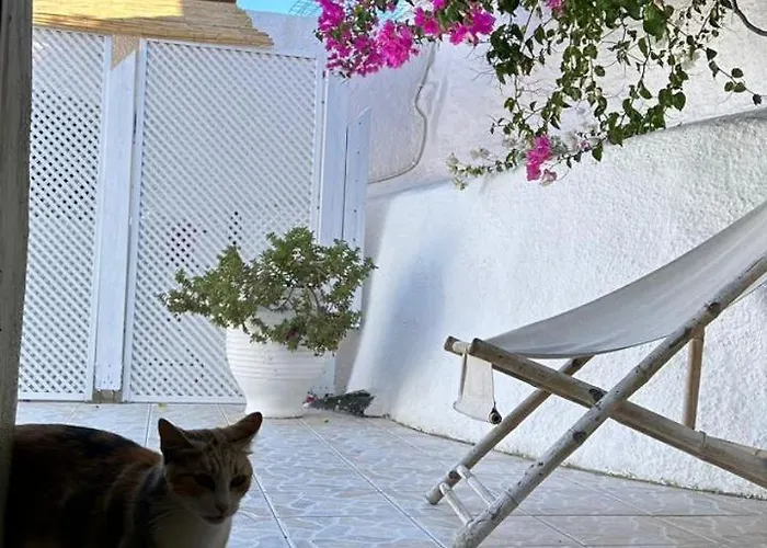 팜 트리 힐 컨트리하우스