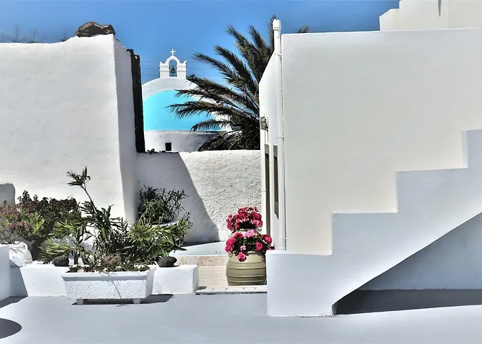 Palm Tree Hill Landhaus