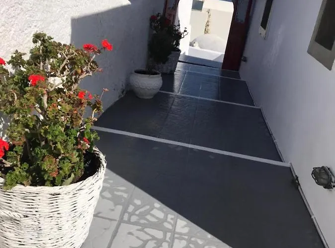 Gospodarstwo wiejskie Palm Tree Hill