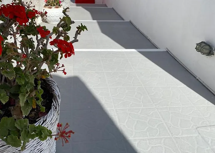 Gospodarstwo wiejskie Palm Tree Hill *