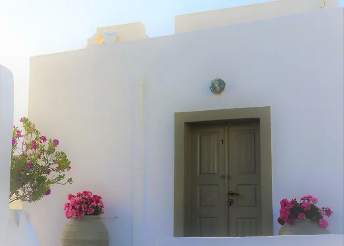 Palm Tree Hill Gospodarstwo wiejskie